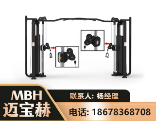 鹤壁大飞鸟训练器