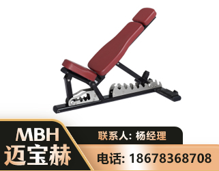 鹤壁可调哑铃椅